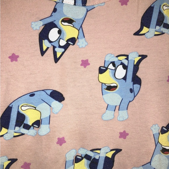 Bluey Baby Pink Peplum Flared Long Sleeve, Bluey Size: 5T girls, EUC - Picture 2 of 7